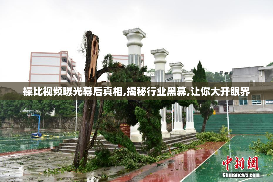 操比视频曝光幕后真相,揭秘行业黑幕,让你大开眼界