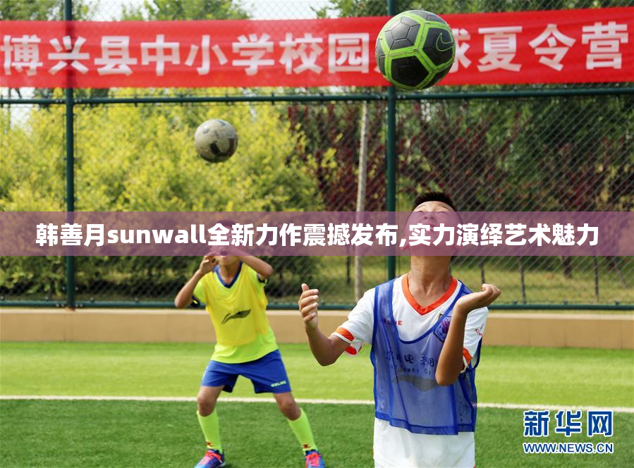 韩善月sunwall全新力作震撼发布,实力演绎艺术魅力