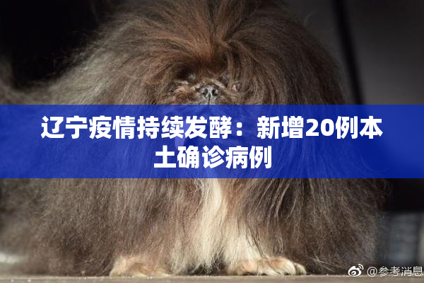辽宁疫情持续发酵：新增20例本土确诊病例