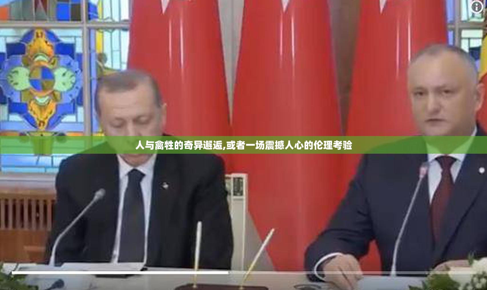人与禽牲的奇异邂逅,或者一场震撼人心的伦理考验