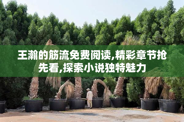王瀚的筋流免费阅读,精彩章节抢先看,探索小说独特魅力