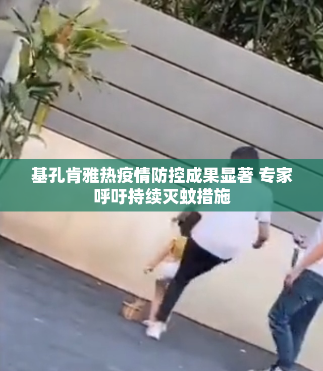 基孔肯雅热疫情防控成果显著 专家呼吁持续灭蚊措施
