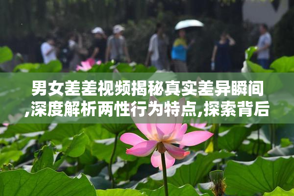 男女差差视频揭秘真实差异瞬间,深度解析两性行为特点,探索背后的