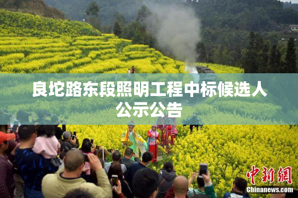 良坨路东段照明工程中标候选人公示公告