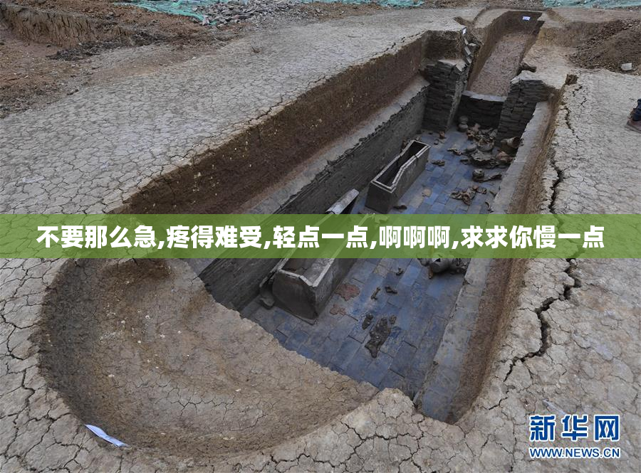 不要那么急,疼得难受,轻点一点,啊啊啊,求求你慢一点