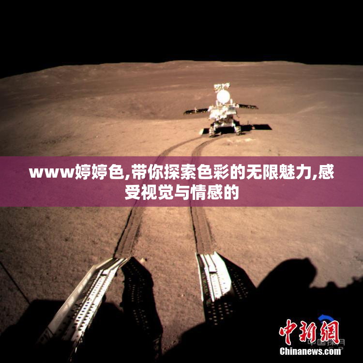 www婷婷色,带你探索色彩的无限魅力,感受视觉与情感的