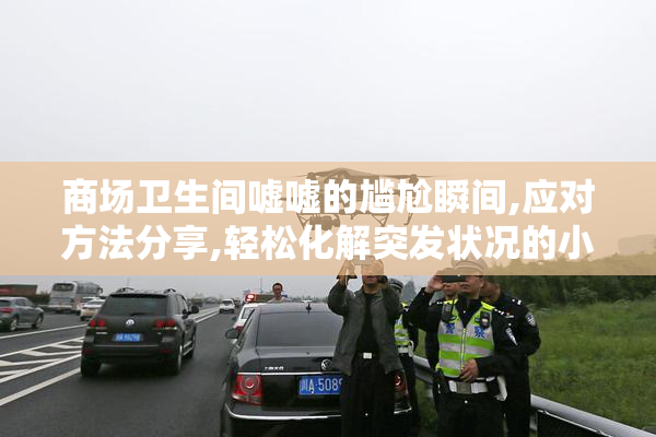 商场卫生间嘘嘘的尴尬瞬间,应对方法分享,轻松化解突发状况的小技巧