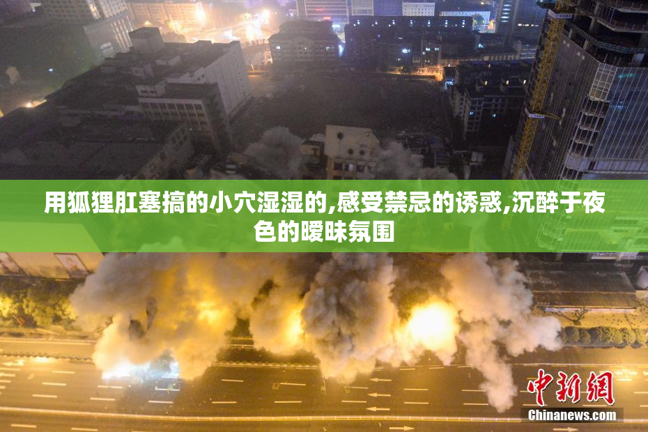 用狐狸肛塞搞的小穴湿湿的,感受禁忌的诱惑,沉醉于夜色的暧昧氛围