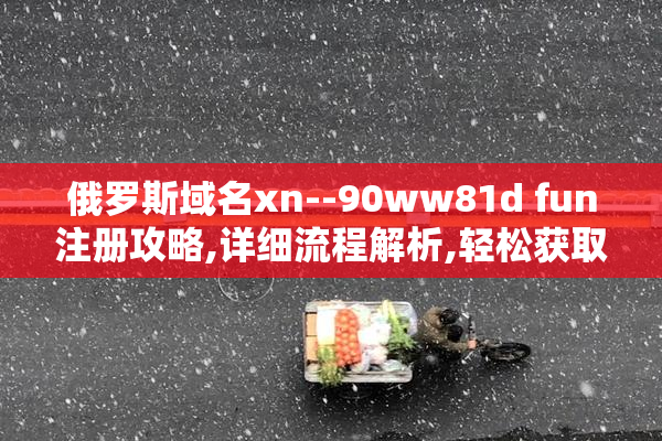 俄罗斯域名xn--90ww81d fun注册攻略,详细流程解析,轻松获取个性化