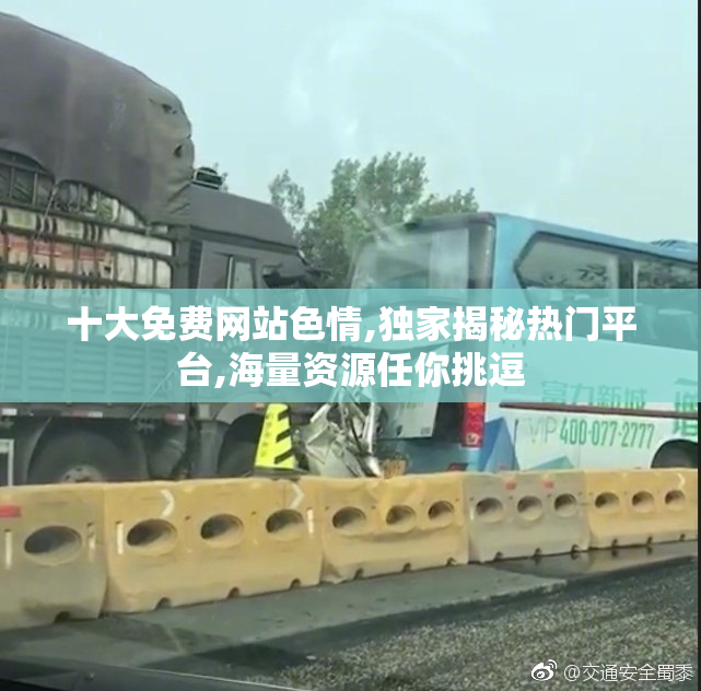 十大免费网站色情,独家揭秘热门平台,海量资源任你挑逗