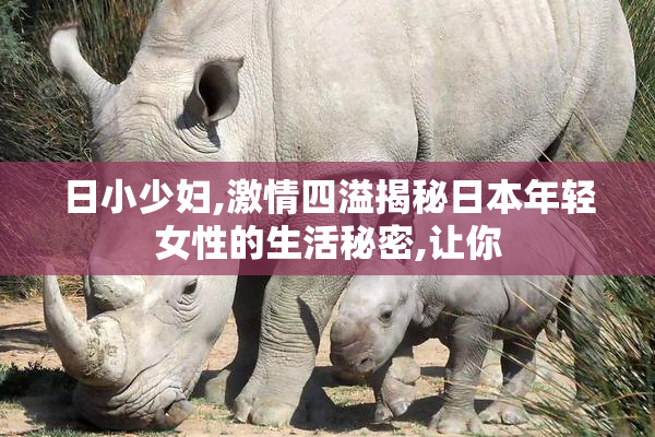 日小少妇,激情四溢揭秘日本年轻女性的生活秘密,让你