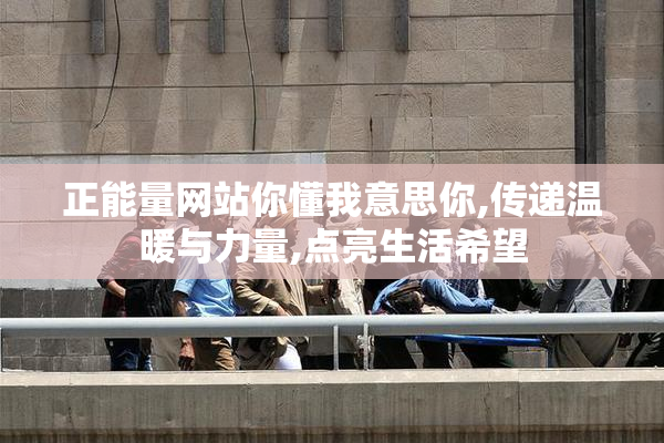 正能量网站你懂我意思你,传递温暖与力量,点亮生活希望