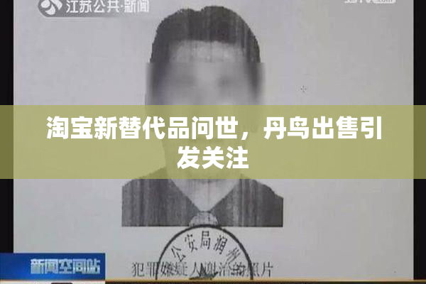 淘宝新替代品问世，丹鸟出售引发关注