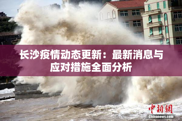 长沙疫情动态更新：最新消息与应对措施全面分析