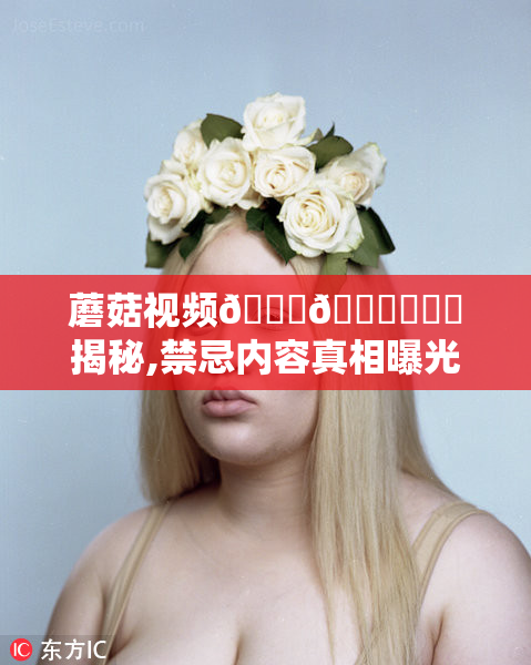蘑菇视频🍆🍌❌⭕️揭秘,禁忌内容真相曝光,深度解析