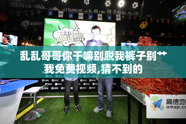 乱乱哥哥你干嘛别脱我裤子别艹我免费视频,猜不到的