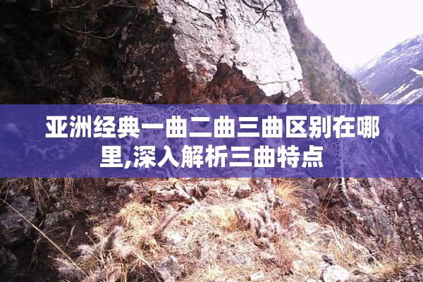 亚洲经典一曲二曲三曲区别在哪里,深入解析三曲特点