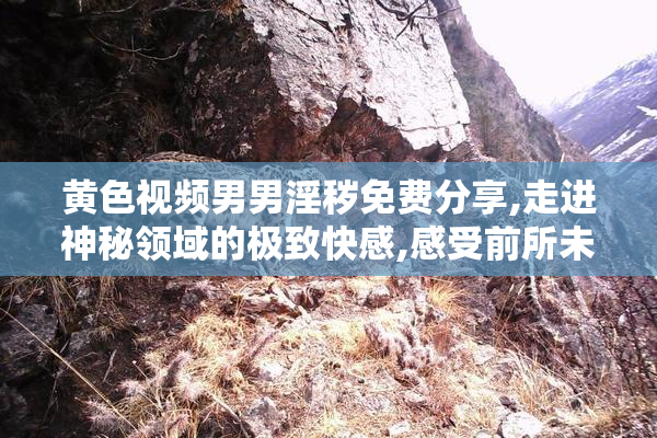 黄色视频男男淫秽免费分享,走进神秘领域的极致快感,感受前所未有