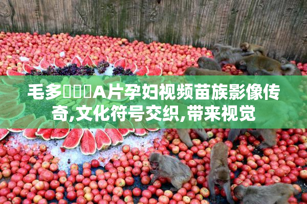毛多❌❌❌A片孕妇视频苗族影像传奇,文化符号交织,带来视觉