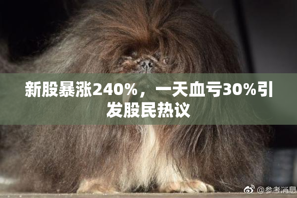 新股暴涨240%，一天血亏30%引发股民热议
