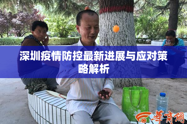 深圳疫情防控最新进展与应对策略解析