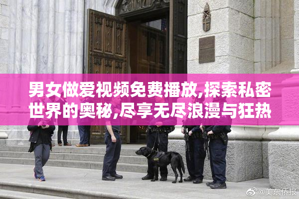 男女做爱视频免费播放,探索私密世界的奥秘,尽享无尽浪漫与狂热