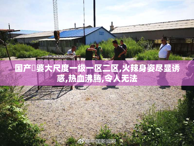 国产畐婆大尺度一级一区二区,火辣身姿尽显诱惑,热血沸腾,令人无法