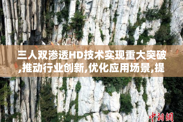 三人双渗透HD技术实现重大突破,推动行业创新,优化应用场景,提升
