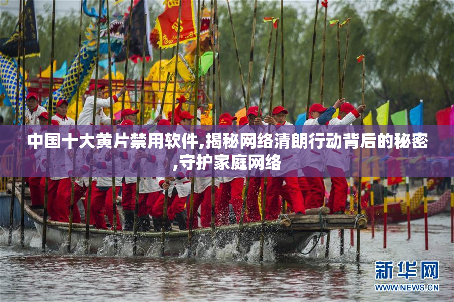 中国十大黄片禁用软件,揭秘网络清朗行动背后的秘密,守护家庭网络