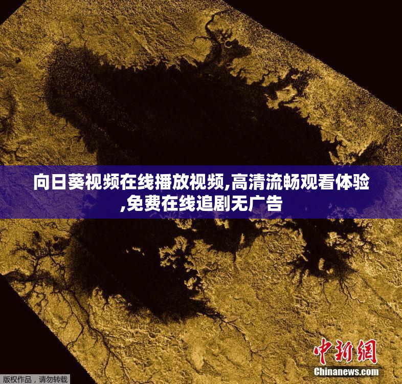 向日葵视频在线播放视频,高清流畅观看体验,免费在线追剧无广告