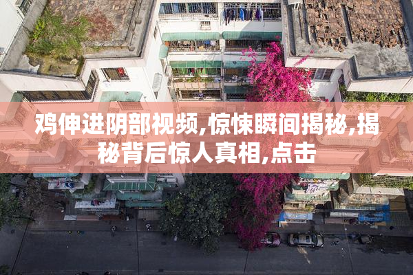 鸡伸进阴部视频,惊悚瞬间揭秘,揭秘背后惊人真相,点击