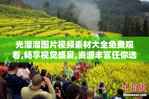 光溜溜图片视频素材大全免费观看,畅享视觉盛宴,资源丰富任你选