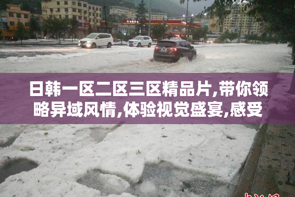 日韩一区二区三区精品片,带你领略异域风情,体验视觉盛宴,感受