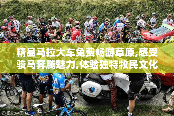精品马拉大车免费畅游草原,感受骏马奔腾魅力,体验独特牧民文化之旅