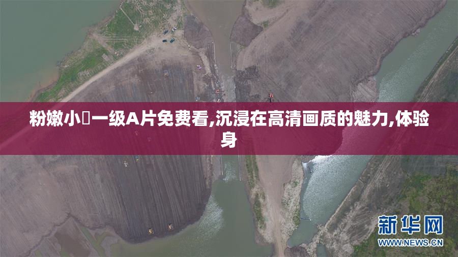 粉嫩小泬一级A片免费看,沉浸在高清画质的魅力,体验身