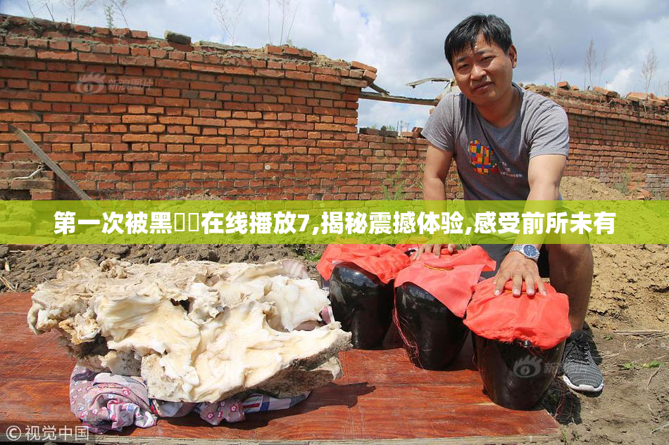 第一次被黑屌肏在线播放7,揭秘震撼体验,感受前所未有