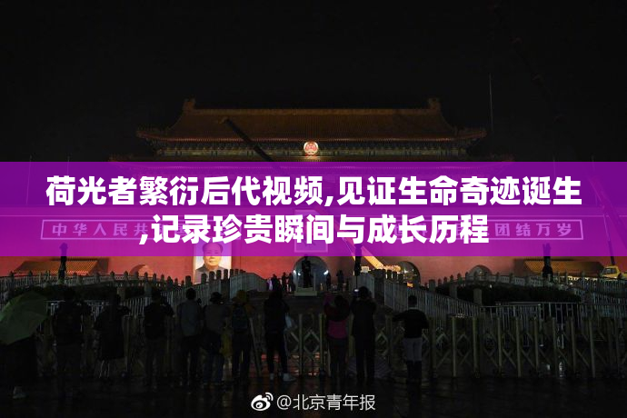 荷光者繁衍后代视频,见证生命奇迹诞生,记录珍贵瞬间与成长历程