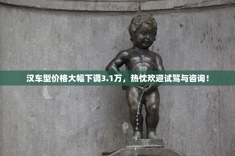 汉车型价格大幅下调3.1万，热忱欢迎试驾与咨询！