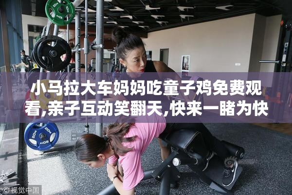 小马拉大车妈妈吃童子鸡免费观看,亲子互动笑翻天,快来一睹为快