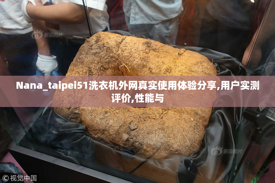 Nana_taipei51洗衣机外网真实使用体验分享,用户实测评价,性能与