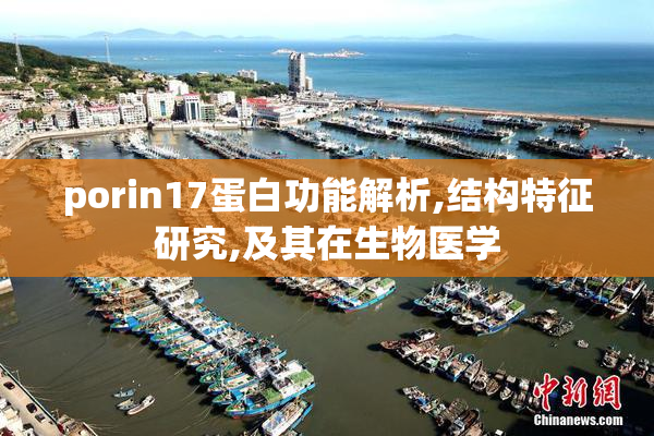 porin17蛋白功能解析,结构特征研究,及其在生物医学