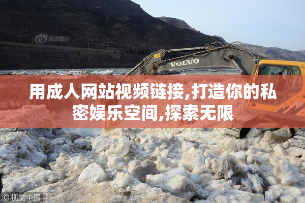 用成人网站视频链接,打造你的私密娱乐空间,探索无限