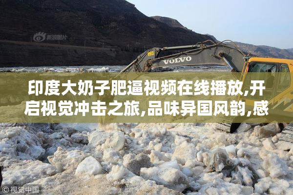 印度大奶子肥逼视频在线播放,开启视觉冲击之旅,品味异国风韵,感受