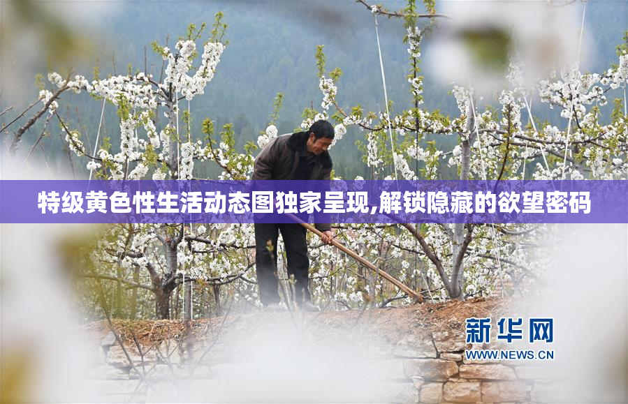 特级黄色性生活动态图独家呈现,解锁隐藏的欲望密码