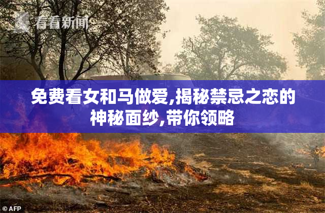 免费看女和马做爱,揭秘禁忌之恋的神秘面纱,带你领略