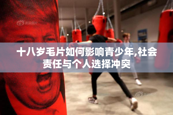 十八岁毛片如何影响青少年,社会责任与个人选择冲突
