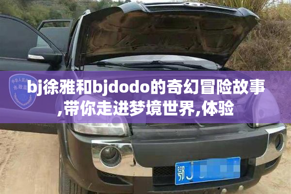 bj徐雅和bjdodo的奇幻冒险故事,带你走进梦境世界,体验