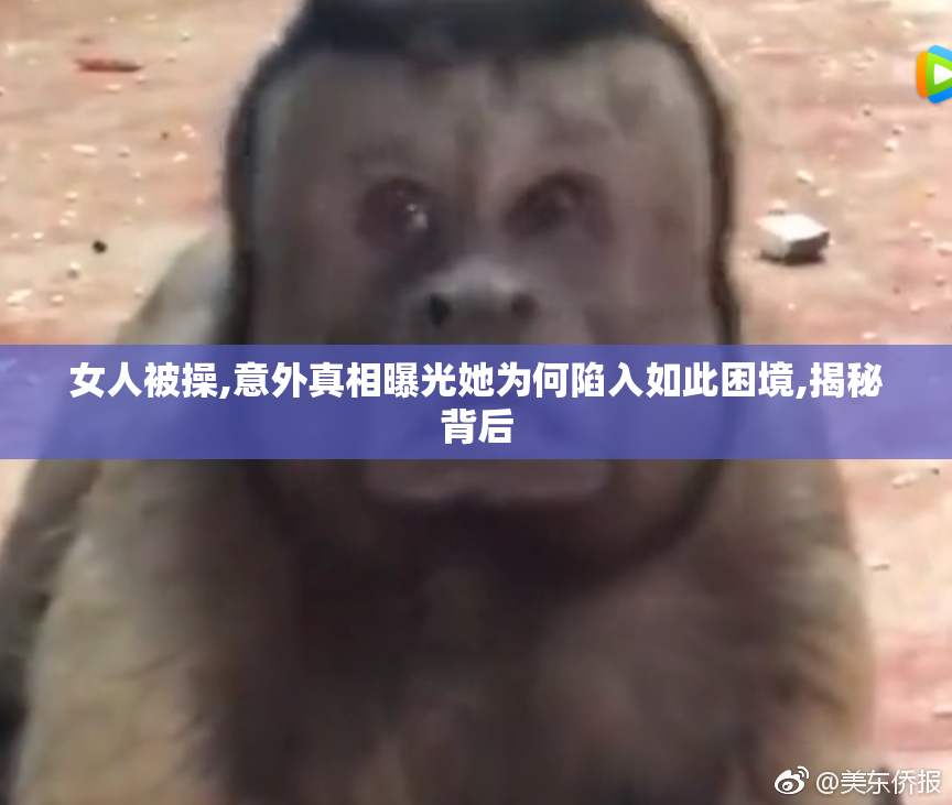 女人被操,意外真相曝光她为何陷入如此困境,揭秘背后