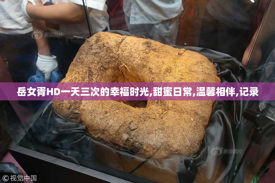 岳女胥HD一天三次的幸福时光,甜蜜日常,温馨相伴,记录