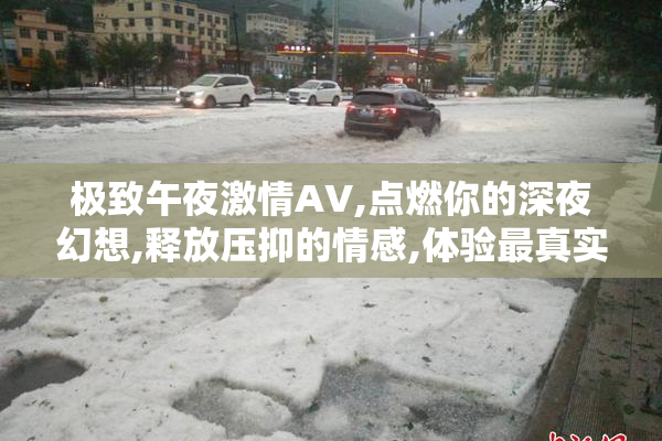 极致午夜激情AV,点燃你的深夜幻想,释放压抑的情感,体验最真实的